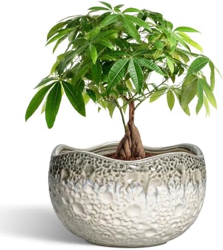 10 Inch Plant Pot, Ceramic Pots for Plants, Beige-Grey by Thirtypot
