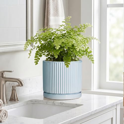 Ceramic Planter, 8 Inch Flower Pots, Round Plant Pot, Light Blue - Image 7