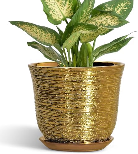 5.6 Inch Plant Pot - Ceramic Planter for Indoor Outdoor, Round Succulent Orchid Pot with Drainage Hole and Plant Saucer, Modern Decorative Planters, Living Room Decor, Gifts for Women, Gold by SUNPOTFOR