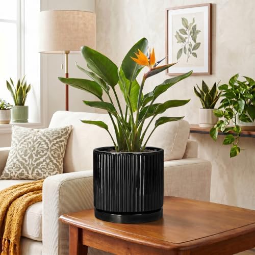 8 Inch Planter, Ceramic Pots for Plants, Round Plant Pot, Black - Image 6