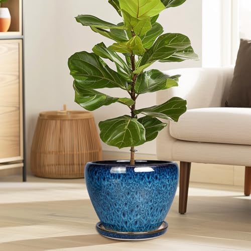 Ceramicfor 10 Inch Ceramic Planter Pot, Ceramic Plant Pot for Indoor Outdoor Plants, Large Flower Pot with Drainage Hole and Saucer, Blue - Image 2