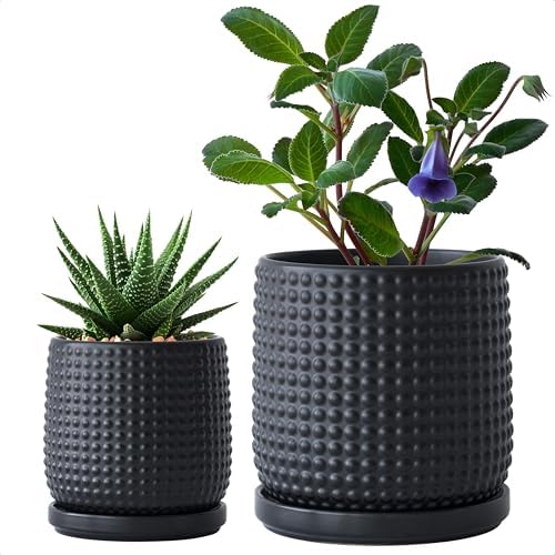 D'vine Dev Beaded Ceramic Planter Pots, 4/6 in, Matte Black, 27-D-U-6 by DvineDevPlanterPotsandStand