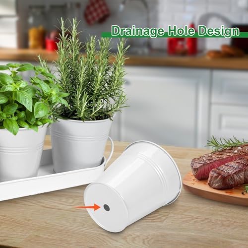 Herb Garden Planter Indoor Kit – 6 Metal Pots with 2 Trays for Windowsill & Kitchen Counter – Modern Decorative Indoor Planters for Herbs, Succulents & Small Plants, White - Image 3