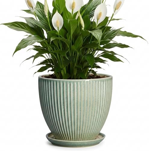 8 Inch Planter, Ceramic Plant Pots with Drainage Hole and Saucer, Decorative Pots for Plants Indoor, Ceramic Flower Pots, Round Modern Planter, Living Room Decor, House Warming Gifts, Green by Unknown