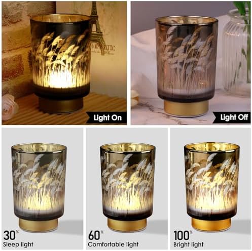 Eywamage Battery Operated Table Lamp with Remote, Pampas Cordless Glass Accent Lamp Lights for Bedroom Living Room Kitchen - Image 4
