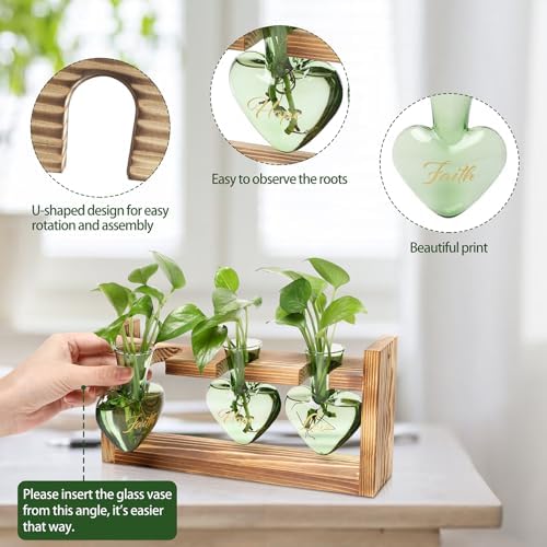 Plant Terrarium Propagation Stations Hydroponics - Image 2
