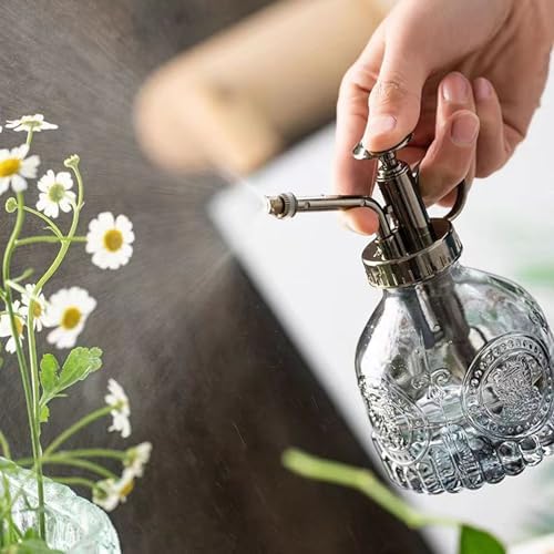 6.30x3.15 Inch Glass Plant Mister Spray Bottle, Portable Handheld Fine Mist Vintage Embossment with Handle for Indoor Garden - Image 3