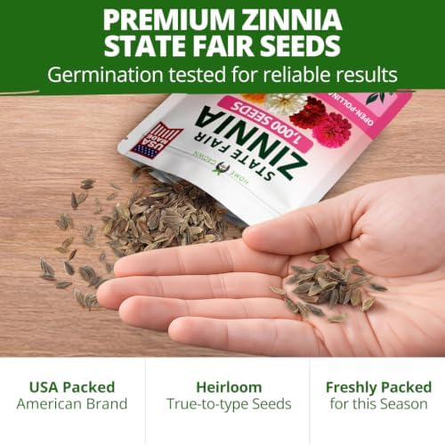 HOME GROWN State Fair Zinnia Seeds (Zinnia Elegans) – 1,000 Flower Seeds for Planting 2026, 7.5g Bulk, Beds, Borders, Cottage Garden, Pollinator Friendly, Large Double Blooms - Image 7
