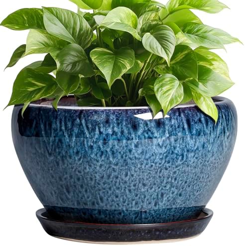Ceramicfor Ceramic Pots for Plants - 9 Inch Plant Pot Indoor with Drainage Hole and Saucer, Ceramic Planters for Outdoor Plants, Round Modern Flower Pot, Housewarming Gifts, Home Decor, Blue by Ceramicfor