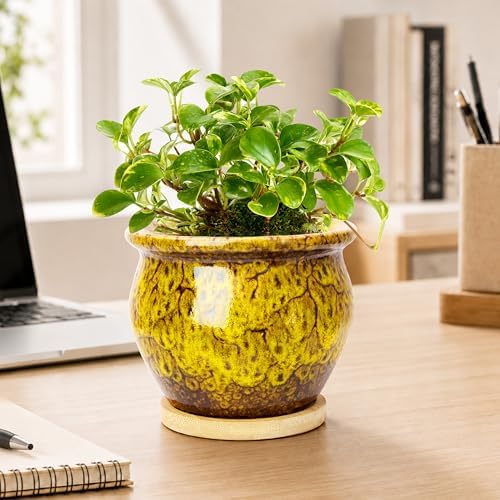 Plant Pots, 4.5 Inch Plant Pots for Indoor, Small Ceramic Planter with Tray - Image 4