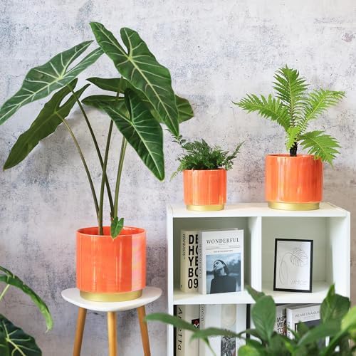 Gepege Peach Indoor Plant Pots for Plants, Ceramic Planter with Drainage Hole, 7.6 Inch +6 Inch 2pcs Succulent Orchid Flower Pot - Rainbow Pearl Glaze - Image 7