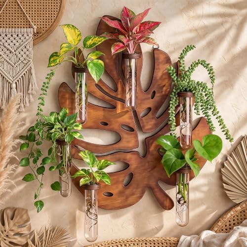 Plant Propagation Station, Monstera Hanging Wall Planter with 6 Glass Tubes by THYGIFTREE