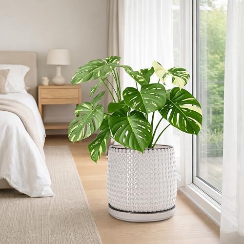 D'vine Dev Beaded Ceramic Pot with Saucer, 10 in, Smoked White, 27-C-P-1 - Image 6