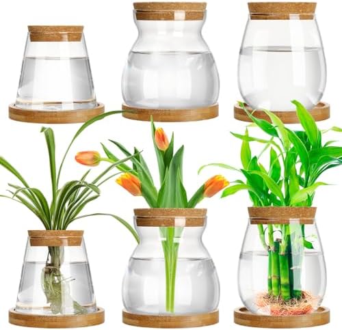 6 Pcs Glass Plant Propagation Station with Wood Lid & Stand, Novel Style by Beeveer