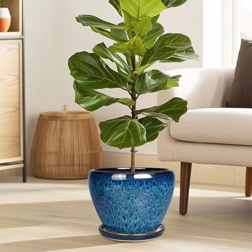 Ceramicfor 8 Inch Ceramic Plant Pot, Ceramic Planter Pot for Indoor Outdoor Plants, Round Flower Pot with Drainage Hole and Saucer, Blue - Image 2