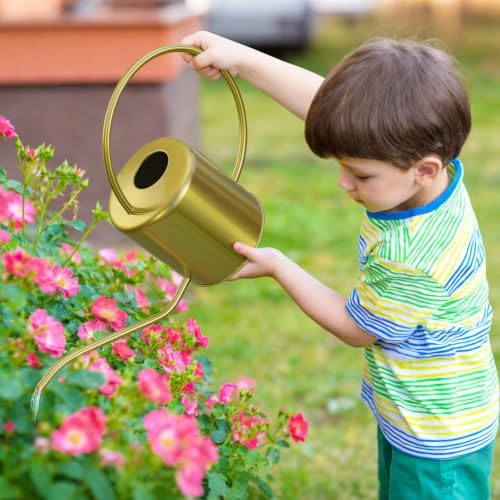 Plant Watering Can, 50 oz / 1500 ml Stainless Steel Metal - Modern Decorative with Long Spout for Indoor Potted Plants, Bonsai, Garden Flowers, Gold - Image 7