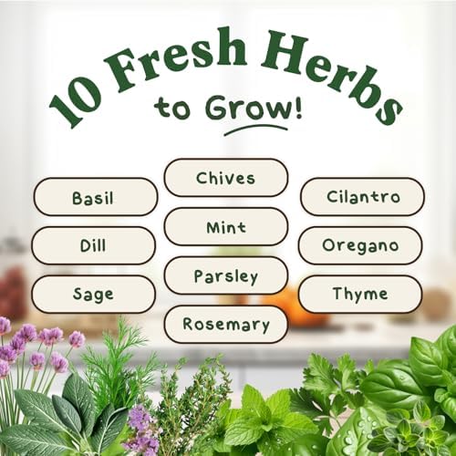 Seedboy Organic Non-GMO Herb Seeds for Planting (10 Herb Variety Pack) - Image 2