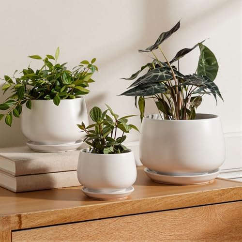 LE TAUCI Ceramic Plant Pots, 4.1+5.1+6.5 inch, Set of 3, Planters with Drainage Hole and Saucer, Indoor Flower Pot with Hole Mesh Pad, Gifts for Mom, White by LETAUCI