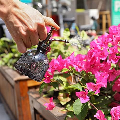 Glass Plant Mister Spray Bottle, Vintage Plant Water Spritzer, Succulent Spray Bottle with Top Pump, Small Glass Sprayer Mister Watering Can for Indoor Outdoor Houseplant - Grey - Image 4