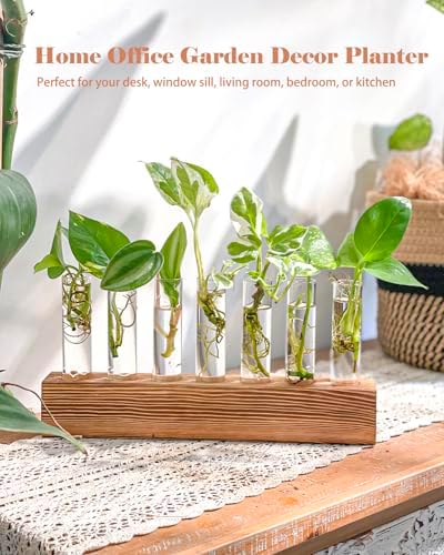 KAXYEW Plant Terrarium with Wooden Stand, Plant Propagation Tubes, 7 Test Tubes Glass Planter for Hydroponic Plant Cuttings Home Office Décor - Image 2