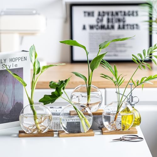 Propagation Vases for Plants - Glass Terrarium Planter with Wooden Stand, Small Desktop Oblate Hydroponic Propagation Vases for Modern Home & Office Decor (2) - Image 3