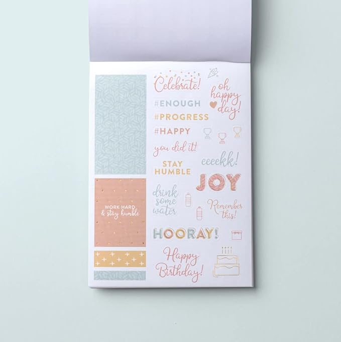 PPP Home Planner Sticker Book 1st Ed | Pack of 15 | 819 Total Stickers | Assorted Sizes | 5x7 Sheets with Gold Foil Stamping | Fun Stickers for Home Planners, Money Planner, Journals