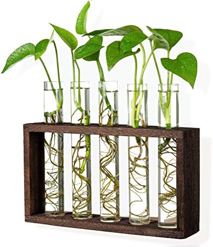 5 Tube Wooden Plant Propagation Station, Tabletop Glass Terrarium Holder for Cuttings Hydroponics, Home Office Desk Decor Gift for Women Mom Plant Lovers, Brown by PACDONA