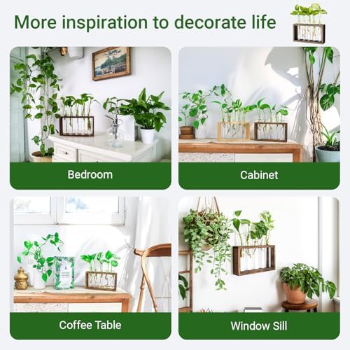 Propagation Station, Plants Terrarium, Plants Lover Gifts for Women,Plant Cutting Holder Home décor,Gifts for Women,House Warming New Home-5 Tubes-Brown - Image 5