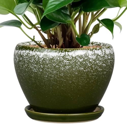 Ceramicfor 6 Inch Plant Pot - Ceramic Planter Pot with Drainage Hole and Saucer, Glaze Succulent Pot Modern Round Flower Pot for Indoor Plants, Dark Green by Ceramicfor
