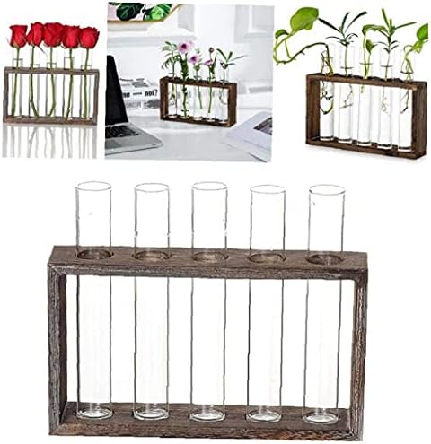 Tube Shape Glass Vase with 3 or 5 Holes Wood Stand Decoration Flower Vontainer for Hydroponics Plant Transparent Flower Arrangement Vase-5 Tube - Image 3