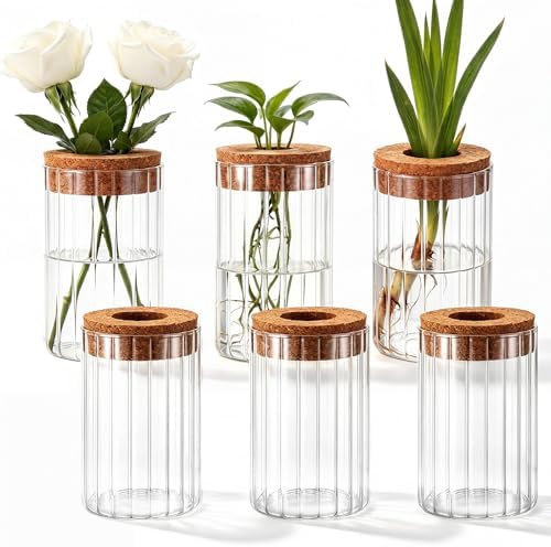 6 Set Propagation Station Jar Desktop Glass Planter Station Flower Vases Water Terrarium Jar with Cork Lid for Propagating Flower Plants Centerpiece Office Home Garden Decor (Small) by Ferrochef