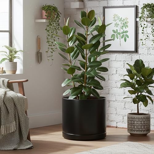 D'vine Dev 16 Inch Ceramic Planter Pot, Black, 94-O-H-2 - Image 2