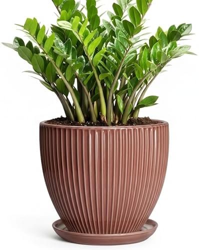 10 Inch Planter, Ceramic Flower Pot with Drainage Hole and Saucer, Round Indoor Plant Pots for Large Plants, Modern Decorative Planter, Home Kitchen Decor, Gifts for Men Women, Rust Red by Unknown