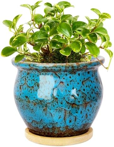 Plant Pots, 4.5 Inch Ceramic Pots for Plant with Drainage, Succulent Pots by ARTKETTY