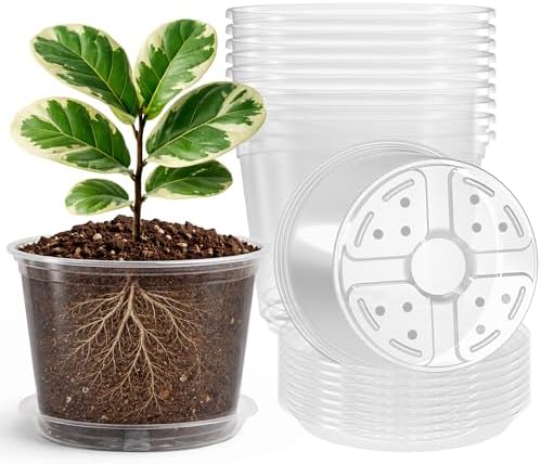 Bluepro Clear Nursery Pots with Saucers, 8 Inch, 8-Pack by Bluepro