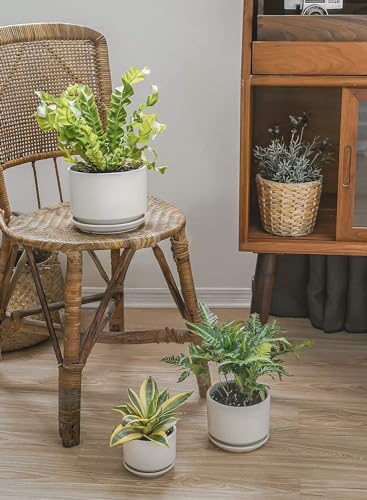 LE TAUCI Ceramic Pots for Plants, 4.3+5.3+6.8 Inch Plant Pots, Indoor Planters with Drainage Hole and Saucer for Succulents, Herbs and Flowers, Set of 3, Satin, White - Image 2