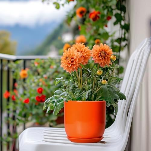 5 Inch Plant Pot - Ceramic Planter for Succulent Cactus Herbs Indoor Plants, Modern Round Flower Pot with Drainage Hole and Saucer, Gifts for Plant Lovers, Patio Office Home Decor, Orange - Image 7