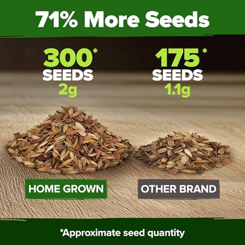 HOME GROWN Zinnia Seeds, Pumila Mix, 300 Seeds, Zinnia elegans - Image 3