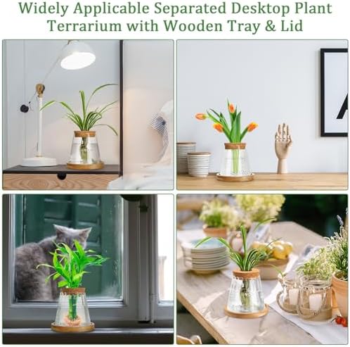 6 Pcs Glass Plant Propagation Station with Wood Lid & Stand, Cute Style - Image 6