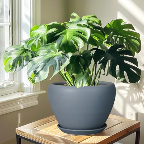 Ceramicfor 10 Inch Plant Pot, Ceramic Planter, Matte Gray - Image 7