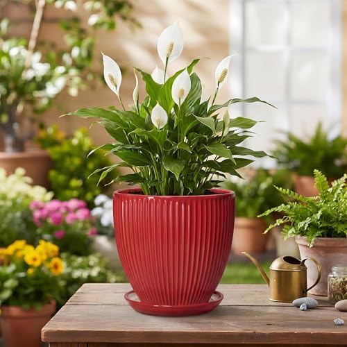 Ceramic Planter, 6 Inch Plant Pot Indoor with Drainage Hole and Saucer, Small Pots for Plants, Modern Succulent Flower Pot, Round Planter, House Garden Decor, Plant Gifts for Women Men, Red - Image 4