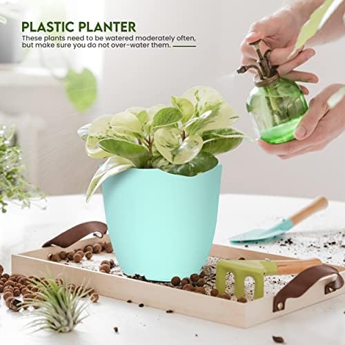Plant Pots Indoor with Drainage, 5 Pack Multi-Size Planters Set, Aqua - Image 6