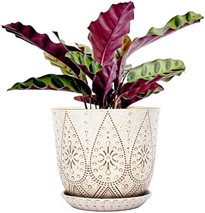 Gepege 8 Inch White Ceramic Plant Pot with Drainage & Saucer by Gepege