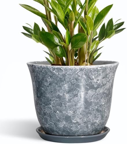 Ceramic Pots for Plants - 10 Inch Planter with Drainage Hole and Saucer, Round Plant Pot for Indoor Outdoor, Decorative Flower Pot, Modern Planter, Garden Decor, Gifts for Plant Lover, Grey by SUNPOTFOR