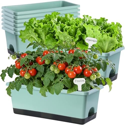 Oliz Window Box Planter 8 Pcs, 17 Inches Rectangle Flower Pots with Drainage Holes & Trays, Vegetable Planters for Windowsill Patio Garden Balcony Home Indoor Outdoor (Green, 16 * 7 * 6 inch) by Oliz