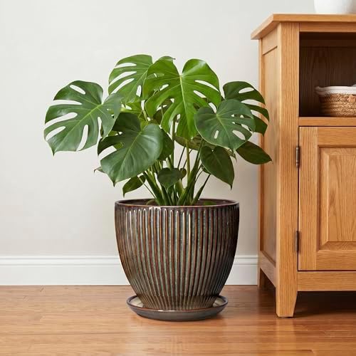 Ceramic Pots for Plants, 10 Inch Planters for Indoor Plants, Decorative Planter with Drainage Hole and Saucer, Round Indoor Plant Pots, Modern Planter, House Decor, Women Men Gifts, Retro Brown - Image 6