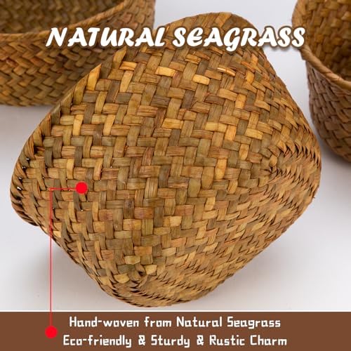 3 Set Small Seagrass Storage Baskets, Natural Woven for Farmhouse Kitchen - Image 3