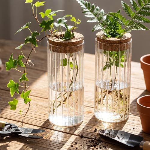 6 Set Propagation Station Jar Desktop Glass Planter Station Flower Vases Water Terrarium Jar with Cork Lid for Propagating Flower Plants Centerpiece Office Home Garden Decor(Medium) - Image 6