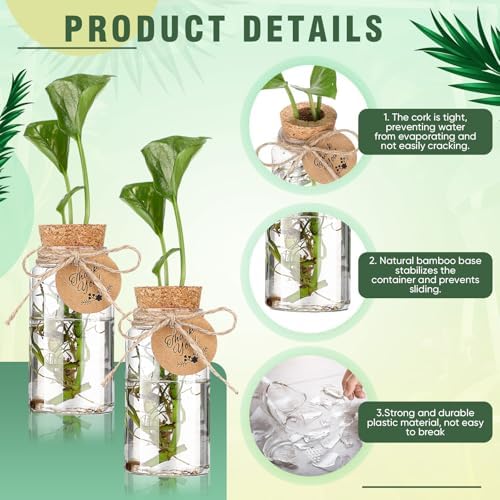 Baderke 24 Pack 3.54'' Plastic Plant Propagation Stations with Hole Lid - Image 3