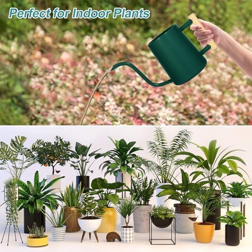 Watering Can Indoor Plants, 35 oz/1000 ml Metal Stainless Steel Watering Can Pot with Long Spout for Indoor House Plants Bonsai Outdoor Garden Flower Decorative (Alpinegreen) - Image 4